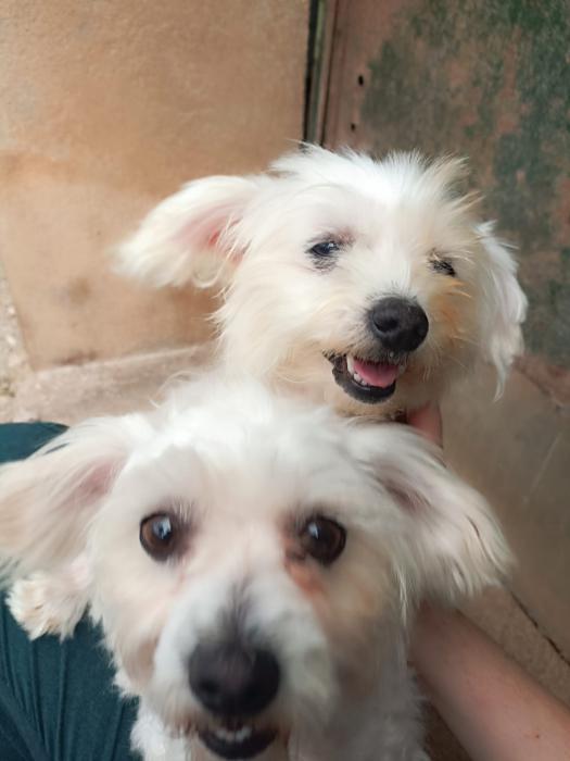 Annie y Farruska Annie y Farruska