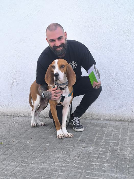 Sherlock (ahora Travis) 