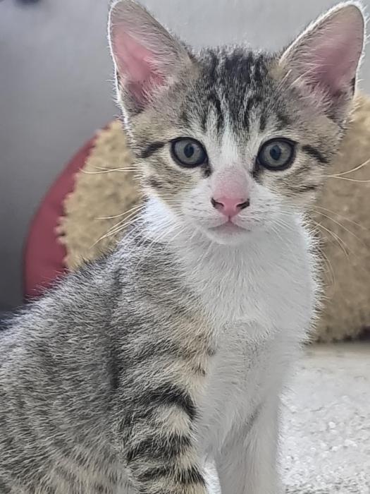 Salvador