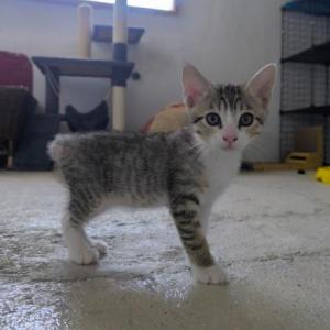 Salvador