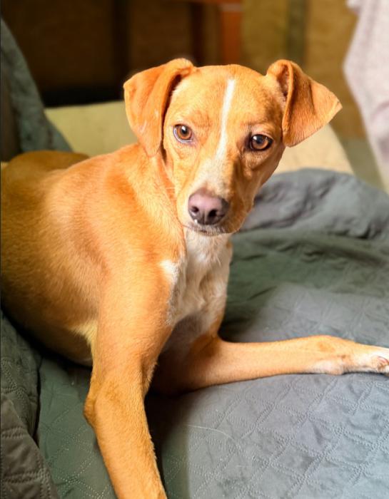 Milo