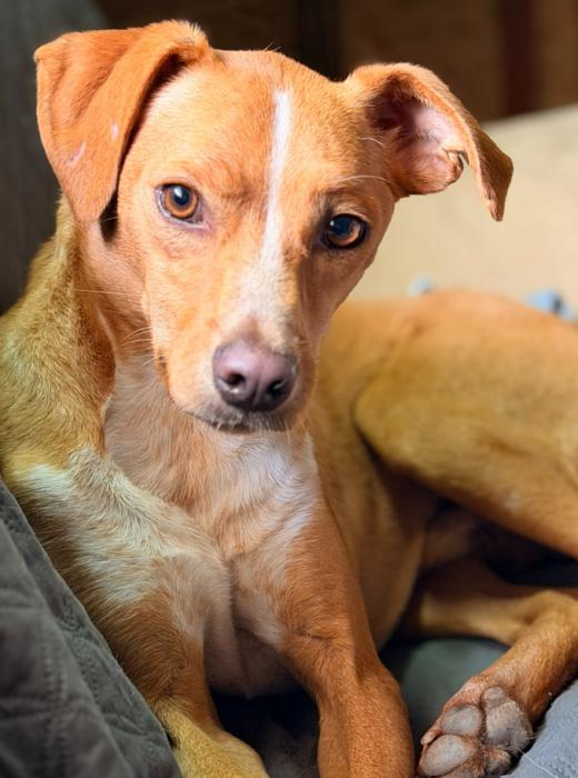 Milo