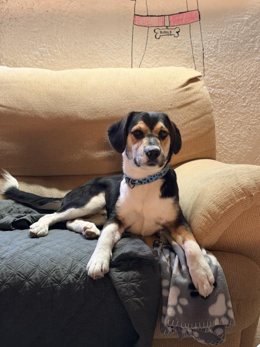 Hugo