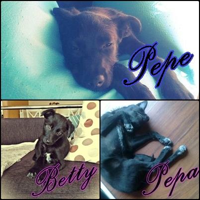 Pepe,Pepa y Betty (Betty adoptada, Pepe Adoptado)