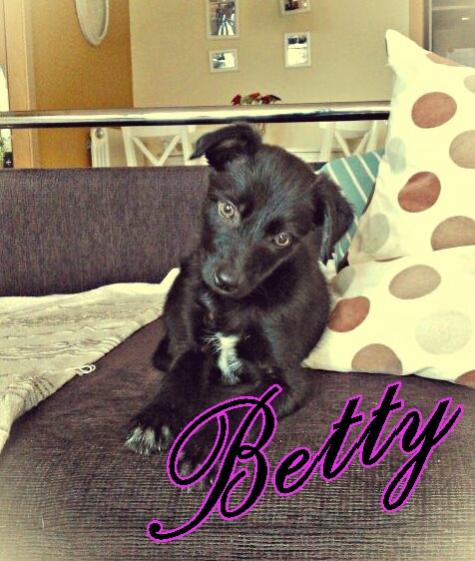 Pepe,Pepa y Betty (Betty adoptada, Pepe Adoptado)